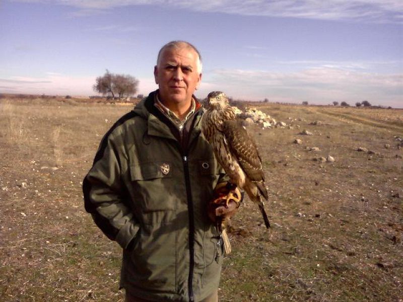 Jose Madrid Millan con Lucia prima pollo de Azor, Accipiter gentilis gallinarum