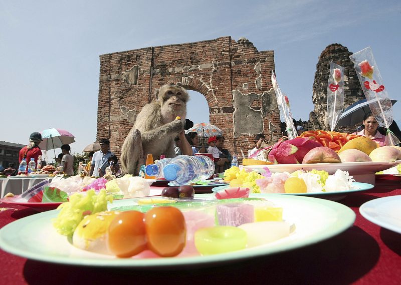 Multitud de frutas, verduras, gelatinas, golosinas, dulces o calabaza para celebrar el Festival de los Monos en el templo Prang Sam Yot, a casi 200 kilómetros al norte de Bangkok