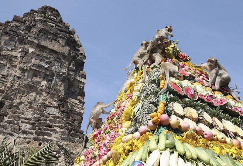 Cada año a finales de noviembre, los vecinos del pueblo tailandés de Lopburi invitan a los descendientes del dios simio Hanuman a un festín con todo tipo de platos elaborados