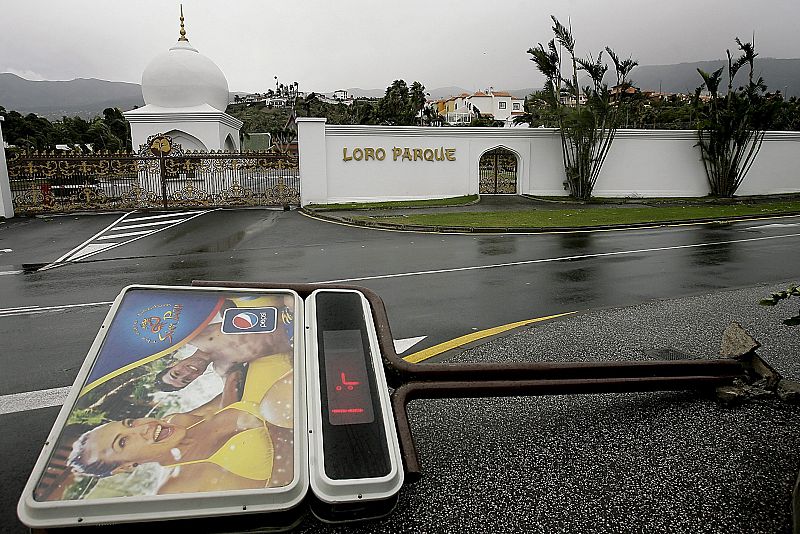 Panel publicitario frente a la entrada del parque zoológico Loro Parque, en el Puerto de la Cruz (Tenerife), derribado por el fuerte viento que azota el archipiélago canario desde anoche.