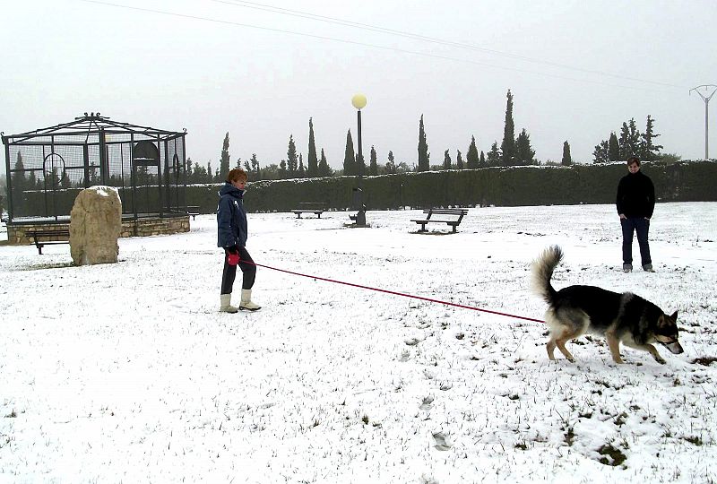 Una mujer pasea a su perro por un parque cubierto de nieve en La Muela (Aragón).