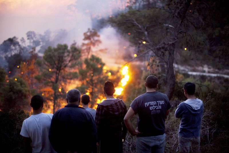 Los bosques y terrenos que se han quemado en el incendio se encuentran en una de las zonas más bonitas de Israel.