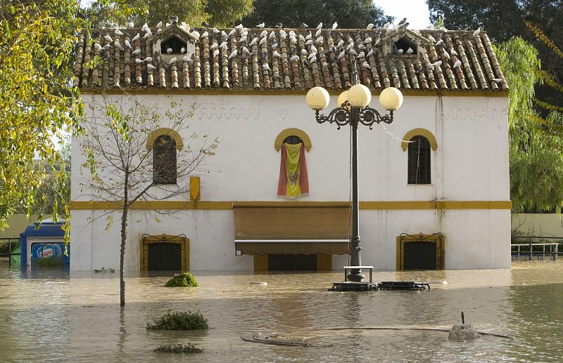 Las precipitaciones han dejado 107 litros de agua por metro cuadrado en la sierra de Córdoba, donde surge el río Genil, que pasa por Écija, cuya cota ha llegado a los 7,40 metros.