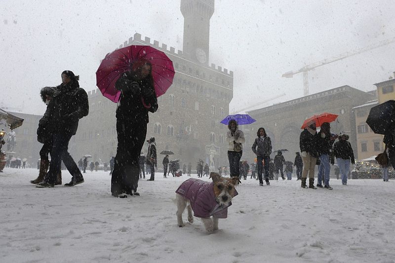 La plaza de la Señoría de Florencia luce un aspecto navideño gracias a la intensa nevada