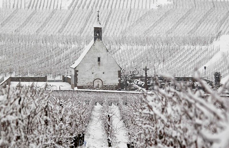 La Capilla de Saint-Denis se ve rodeada de viñedos cubiertos de nieve en el campo de Alsacia en Wolxheim después de la nieve caída en el noreste de Francia.