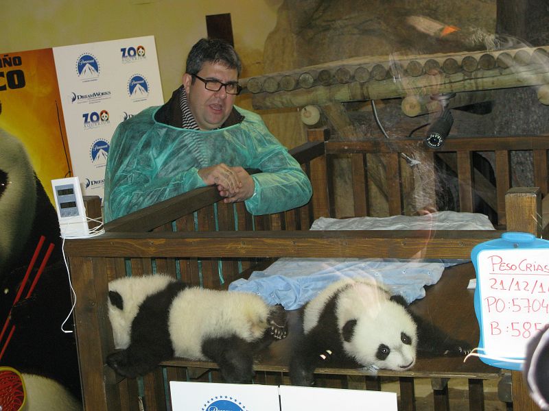 Florentino Fernández, el padrino de los pandas madrileños