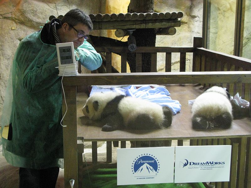 Una imagen tierna de Florentino Fernández contemplando a los panditas