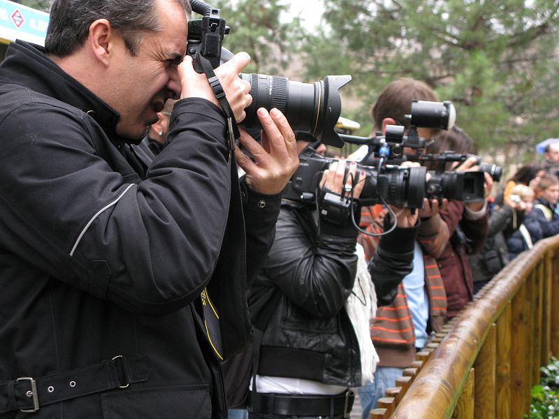 Muchos medios gráficos se han acercado al zoo para asistir al 'bautizo' de los pandas