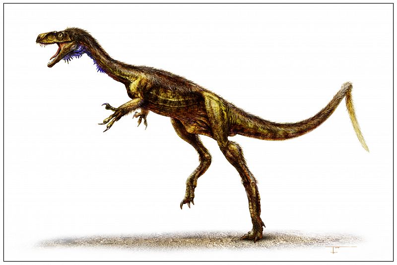 Un dinosaurio depredador, de poco más de un metro y que no pesaba ni 10 kilos, que corría sobre dos patas, y muy parecido al linaje de los dinosaurios carnívoros como los Tyrannosaurus rex. Así era el Eodromaeus