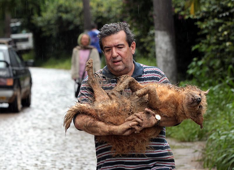 Un hombre carga a su perro en Teresópolis, una de las ciudades más afectadas por las lluvias.