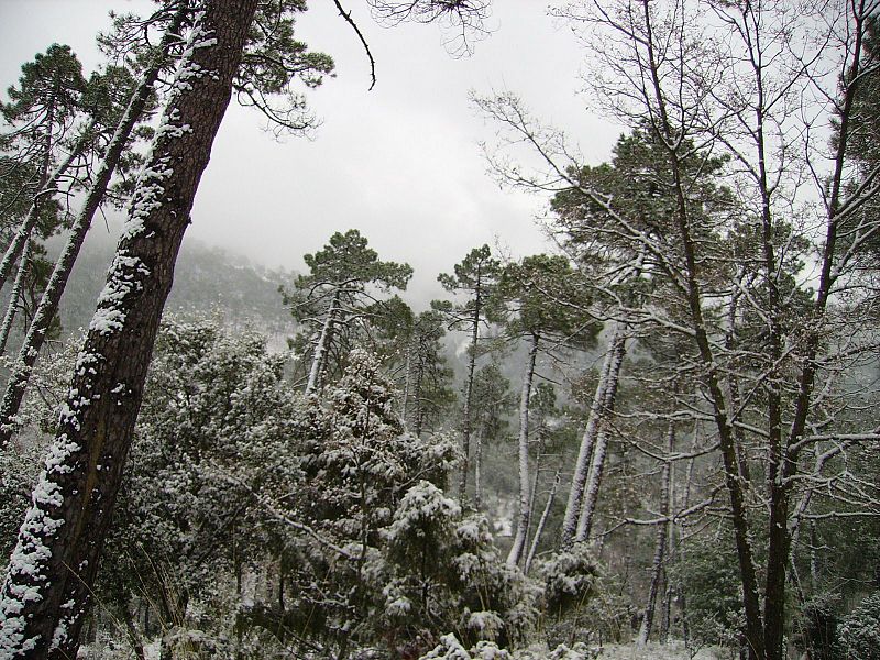 Cazorla Nevada