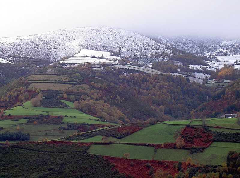 Invierno en el monte