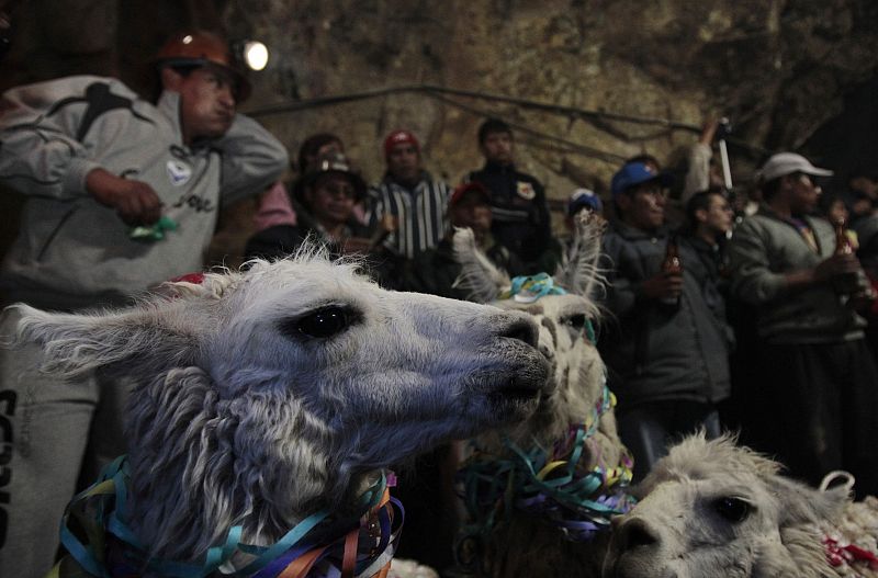 Miners prepare Llamas for sacrifice in the Itos silver and base metals mine in the outskirts of Oruro