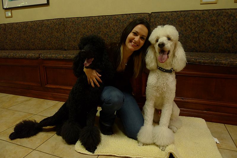 'Españoles en el mundo' en Los Ángeles