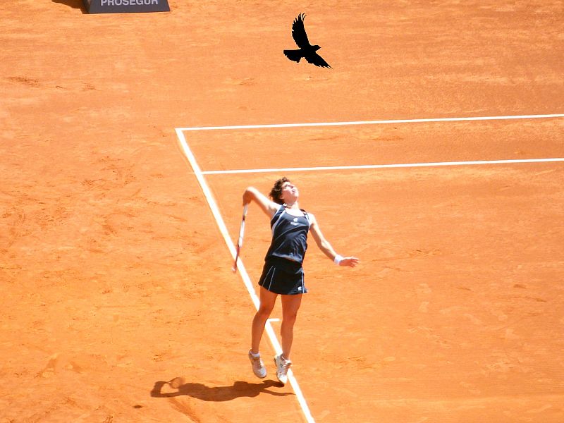 Foto de Carla peleándose con un pájaro en la Central del Madrid Open.