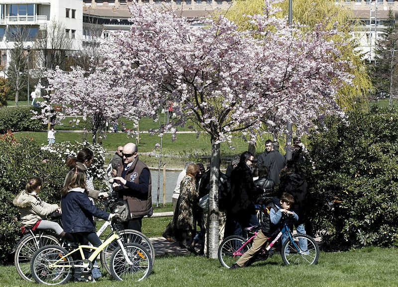 COMIENZO DE LA PRIMAVERA