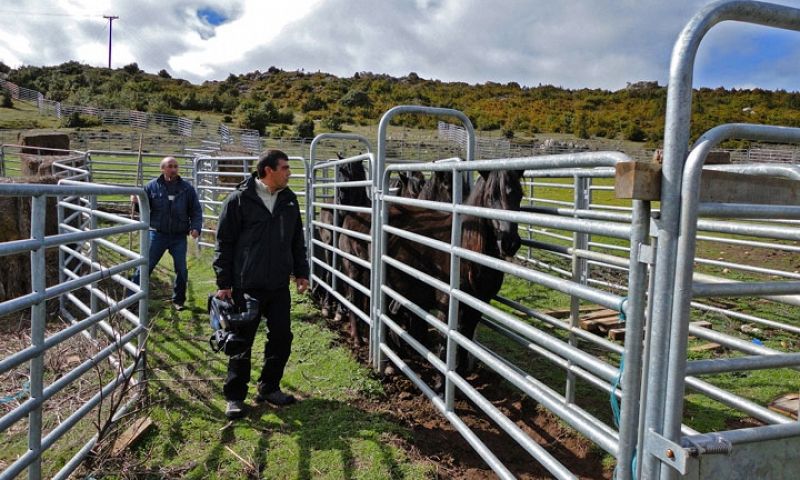 El equipo del programa en la manga de manejo