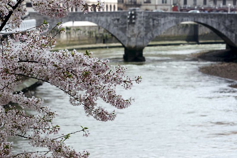 COMIENZA PRIMAVERA