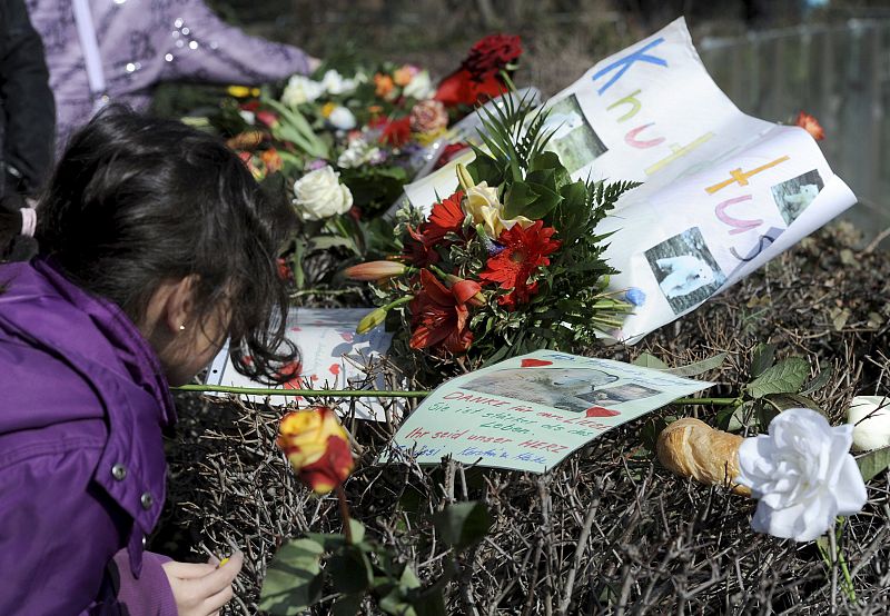 Todavía se desconocen las causas de la muerte del oso polar Knut, uno de los animales más queridos de un parque zoológico