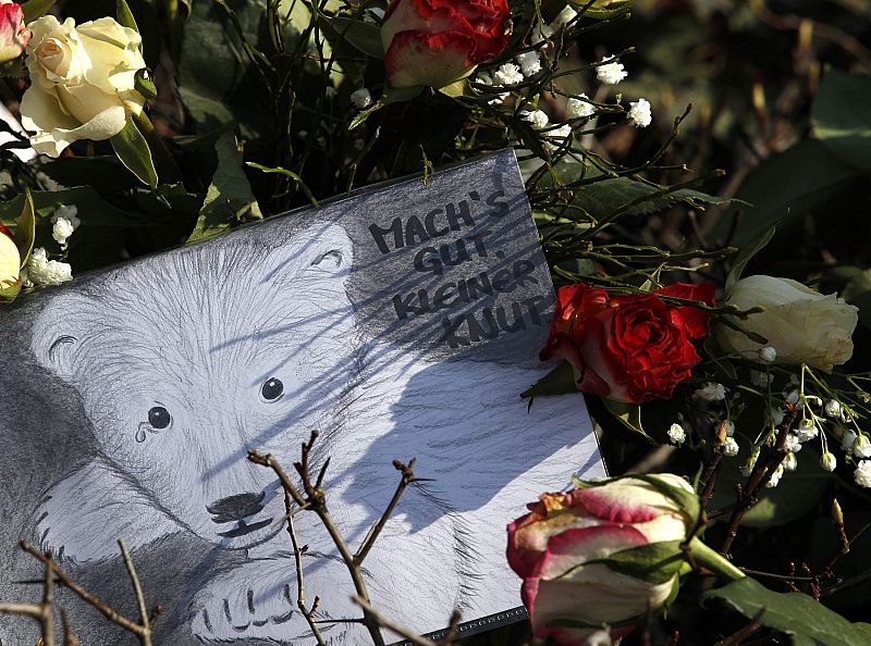 Uno de los dibujos de Knut que los visitantes del zoo dejaron en la jaula en la que vivió durante cuatro años en el zoo de Berlín