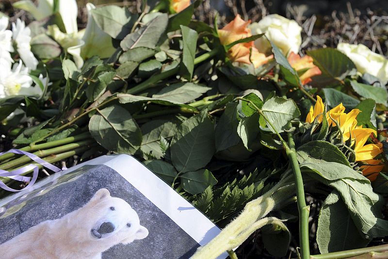 Las flores y los dibujos de Knut se multiplicaron alrededor de su jaula el día de su fallecimiento