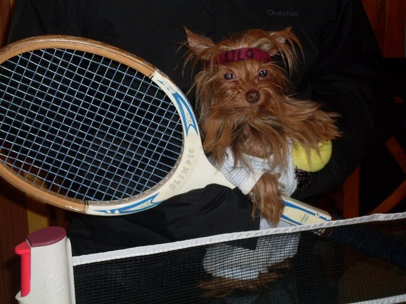 Manda tu mejor foto de tenis.