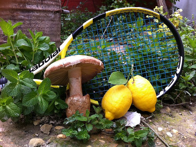 Manda tu mejor foto de tenis.