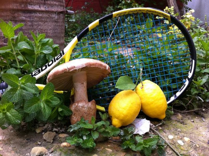 Manda tu mejor foto de tenis.