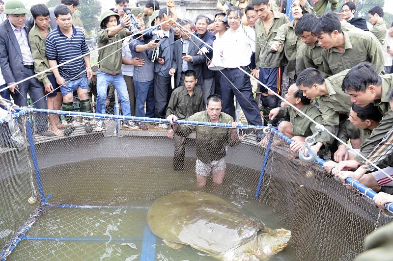 Miembros del equipo de rescate con la tortuga después de que fuera capturada con éxito. Preocupa el estado de salud de esta tortuga "sagrada" por las malas condiciones ambientales en las que se encuentra el lago.