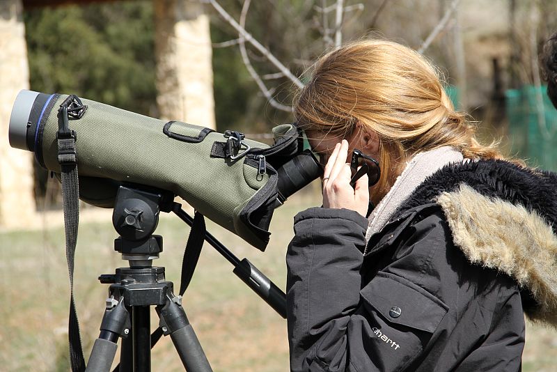 En movimiento con - Manuela observando aves
