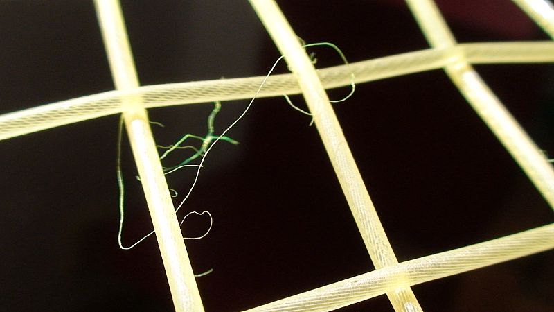 Manda tu mejor foto de tenis.