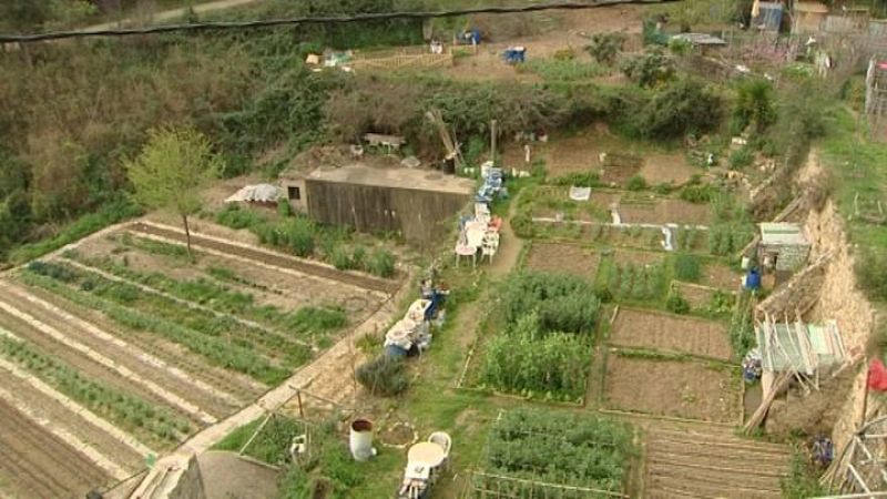 Huertos comunitarios que cultivan los vecinos de Nou Barris