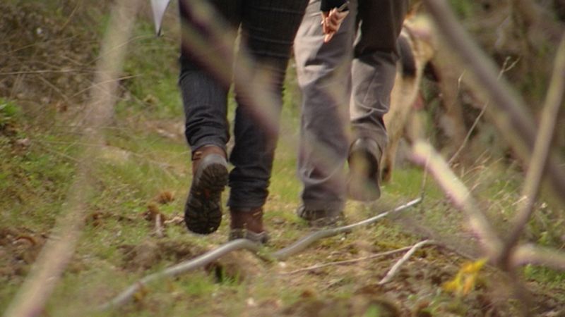 La demanda de riego aumenta