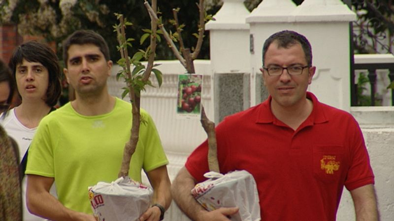 La fiesta del cerezo en flor atrae a los turistas