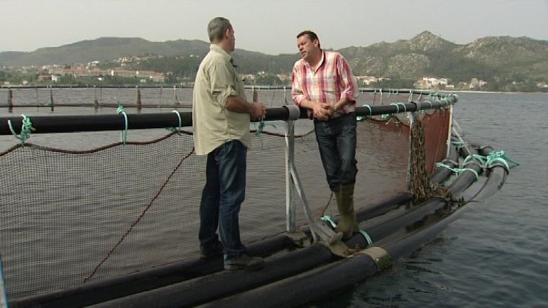 La empresa North West Food y la Conselleria del Mar insisten en que la acuicultura del salmón no contamina