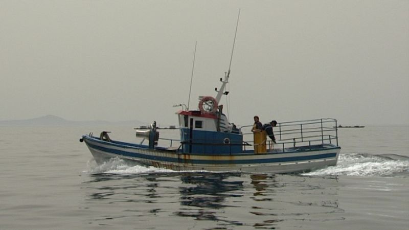 Para las Cofradías, las altas temperaturas de las aguas de la Ría en verano hacen inviable la acuicultura del salmón