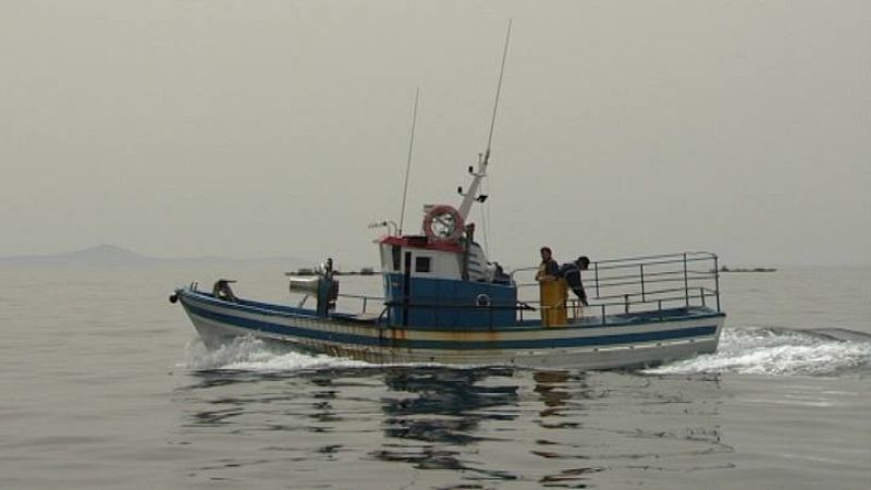 Para las Cofradías, las altas temperaturas de las aguas de la Ría en verano hacen inviable la acuicultura del salmón