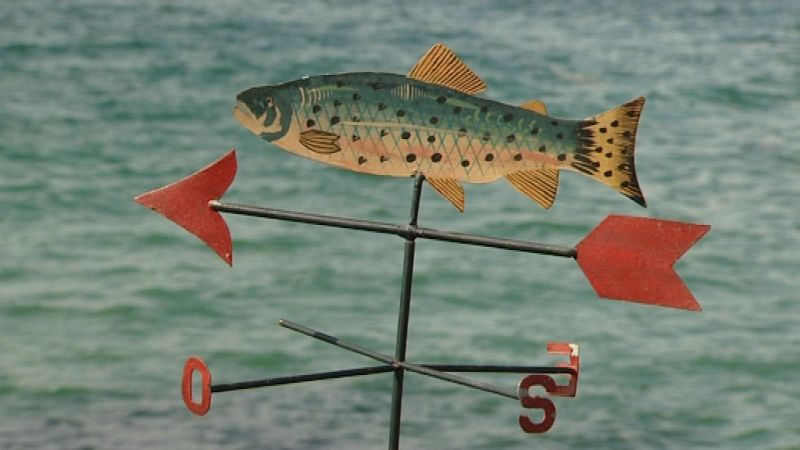 Pescadores, mariscadores y mejilloneros están desorientados por la postura de la Consellería y la acusan de no defenderlos