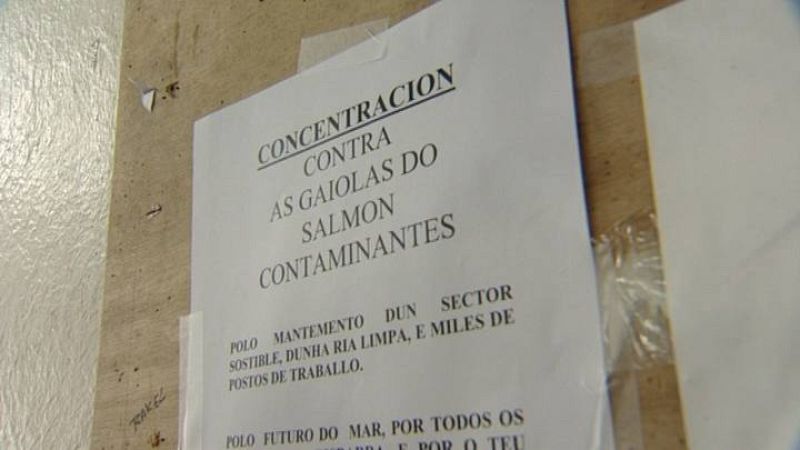  Manifestaciones, actos de protesta y posibles denuncias en los juzgados para una Ría sin salmones