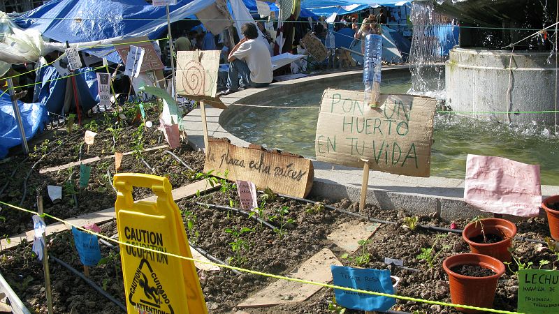 Imagen del pequeño huerto de la acampada de Sol, instalado en una de las fuentes de la plaza.
