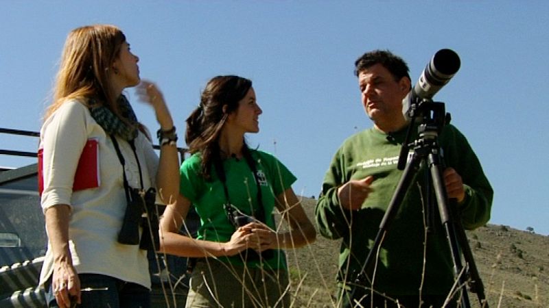 Preparados para la observación