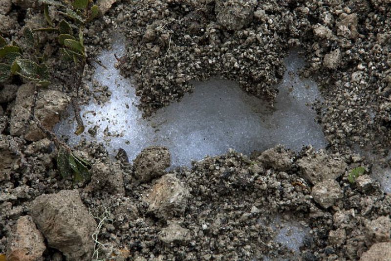 EL GOBIERNO CHILENO IMPIDE EL RETORNO DE LOS EVACUADOS POR ERUPCIÓN VOLCÁNICA