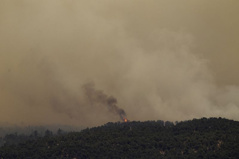 El fuego ha sido provocado por la hoguera de unos campistas negligentes