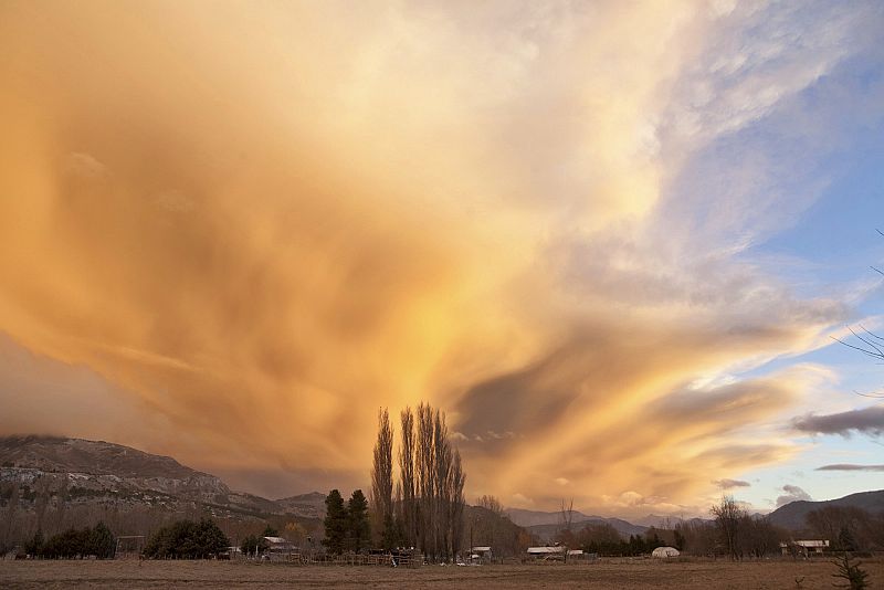 La caída de cenizas ha afectado particularmente a la cría de ganado ovino y caprino en las provincias de Neuquén, Río Negro y Chubut en Argentina.