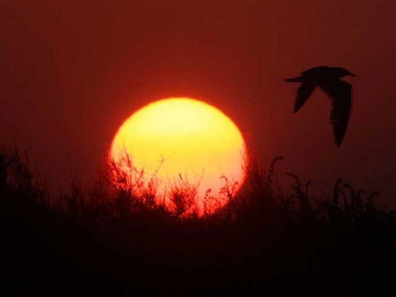 El sol eclipsa a la luna al proyectar la sombra de la tierra sobre ella por completo al estar alineados estos tres cuerpos celestes en Valencia.
