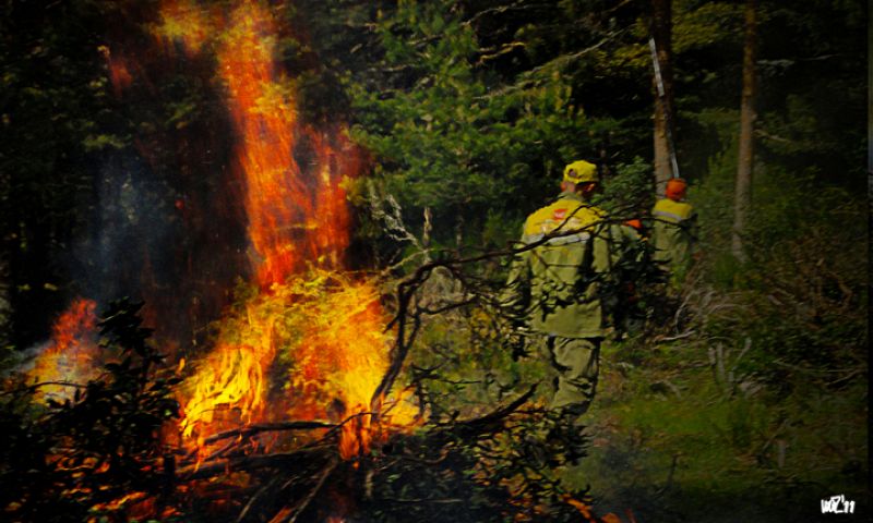 Fuego como sistema de prevención