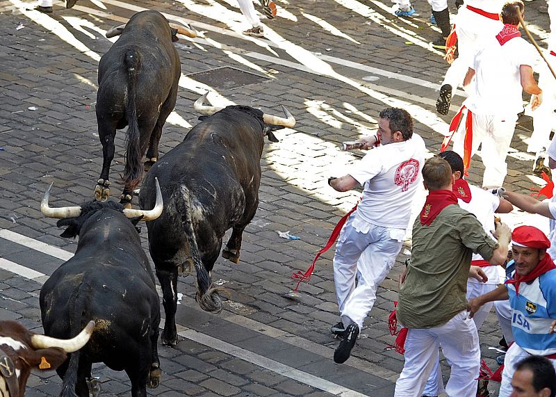 Los toros de la ganadería gaditana de Cebada Gago hacen su entrada a la Plaza Consistorial de Pamplona