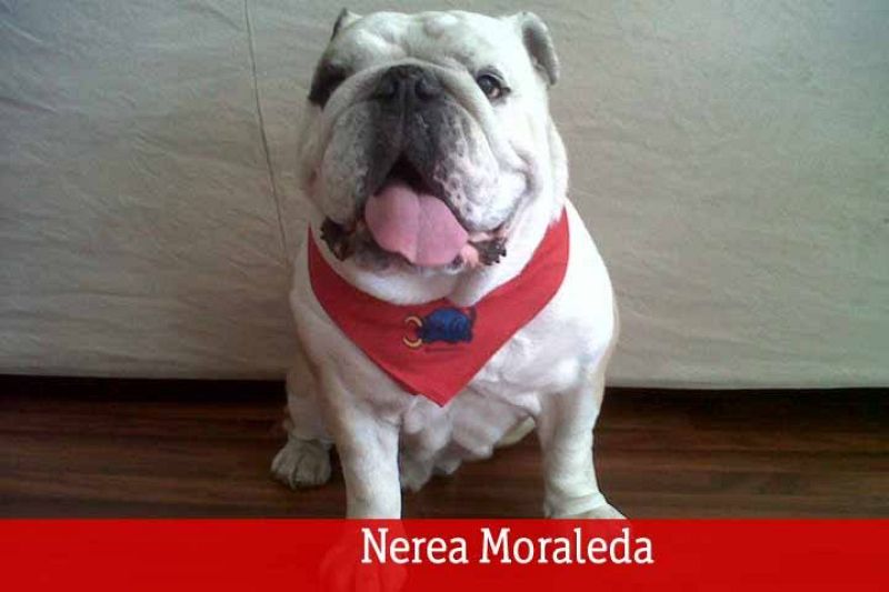  Fermín el día día de su Santo