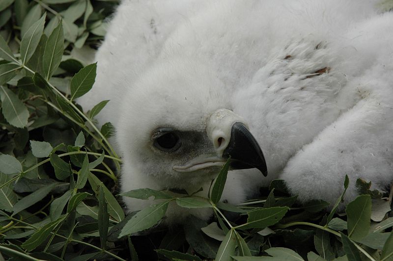 Con un mes de vida, María Airam ya tiene contacto con la naturaleza.