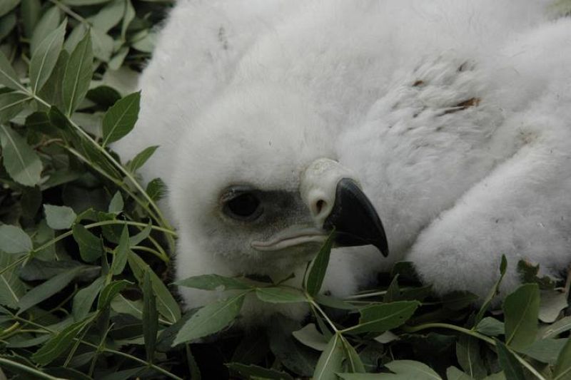 Con un mes de vida, María Airam ya tiene contacto con la naturaleza.
